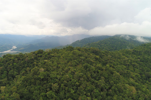 (Español) IMPACTANDO EL AMAZONAS Y OTROS PAISAJES CLAVES DEL PERÚ – EarthWorm Foundation