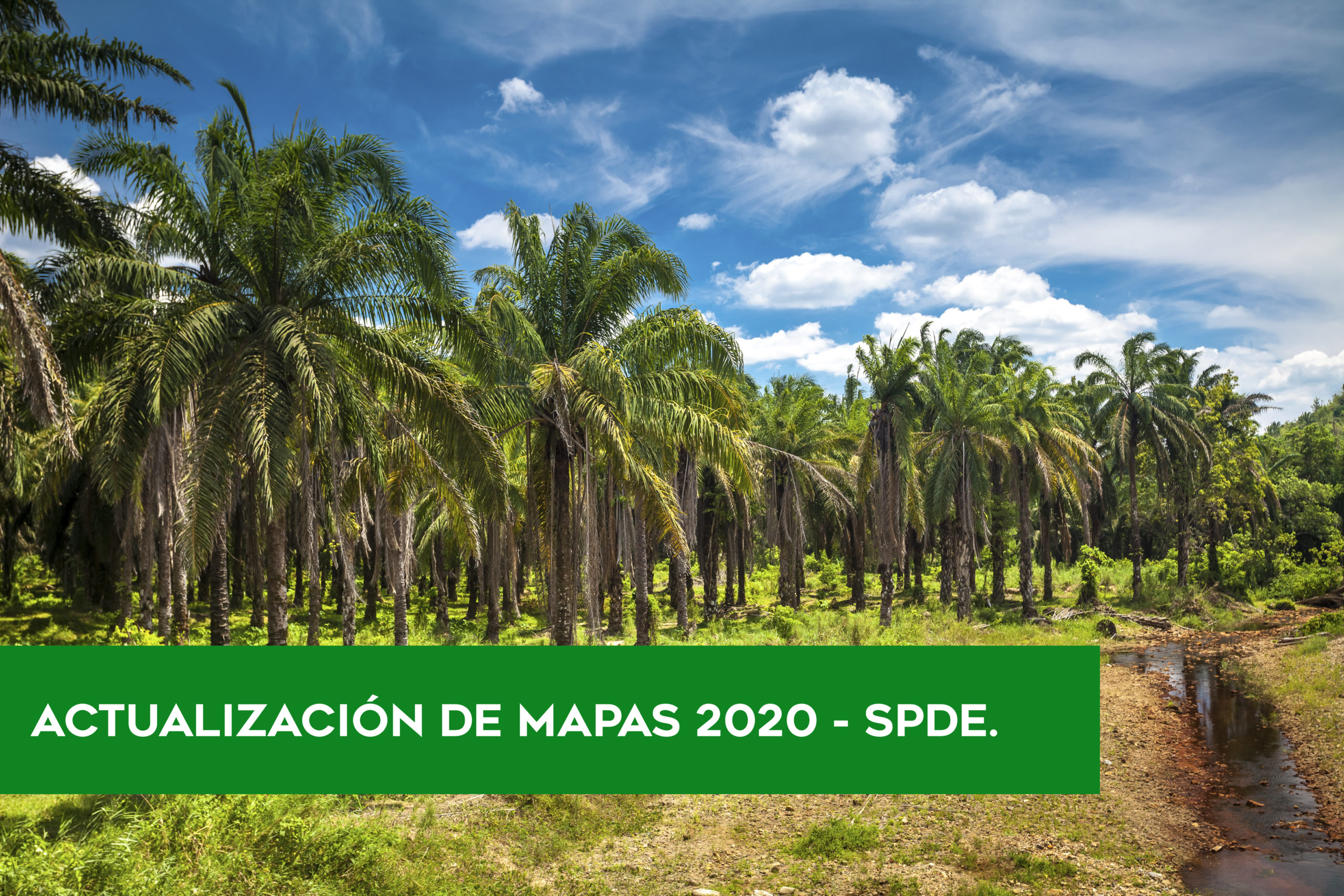 ACTUALIZACIÓN DE MAPAS DE PALMA ACEITERA 2020 – SPDE.